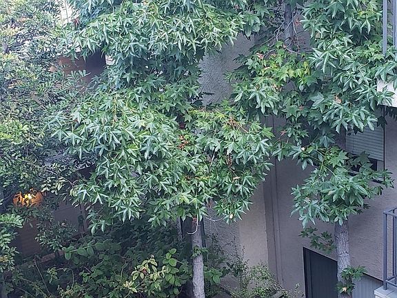 5th image of 1636 S Barrington Ave
