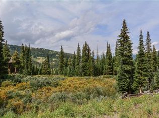 436 Hamilton Ln, Breckenridge, CO 80424