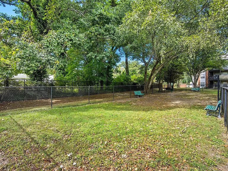 ReNew Little Creek — Photo 30