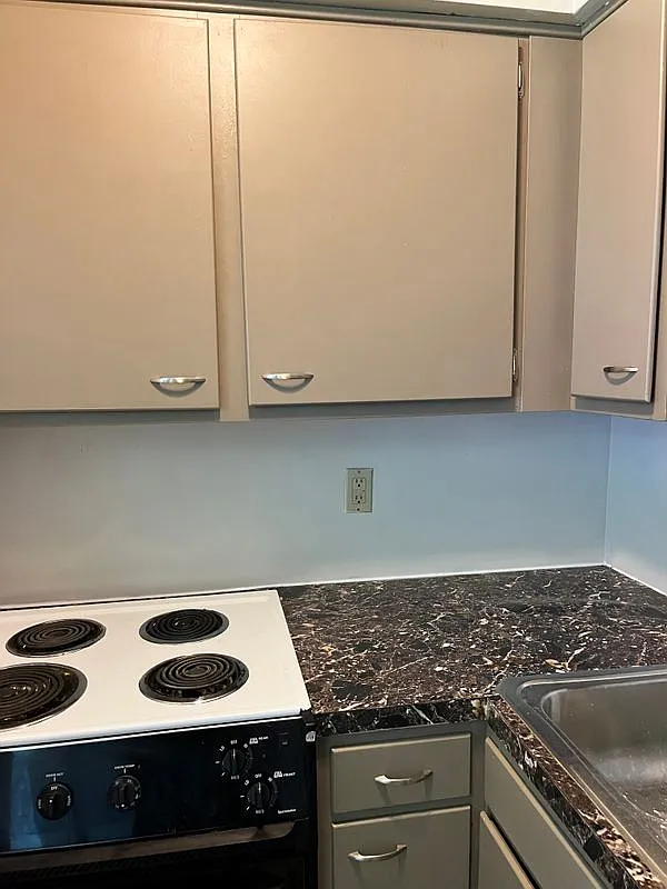 1 bed, 1.0 bath, 450 sqft, $950 — Photo 4