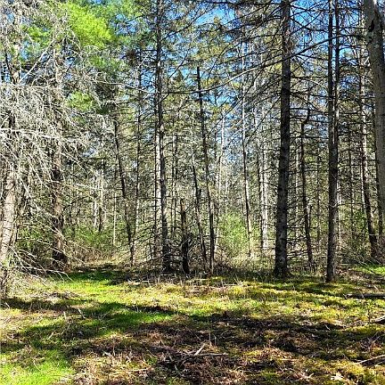 5th image of Snyder Hill Rd Lot 12