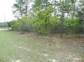3rd image of 5155 N Elkcam Blvd