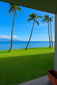 100 Hauoli St APT 112, Wailuku, HI, 96793