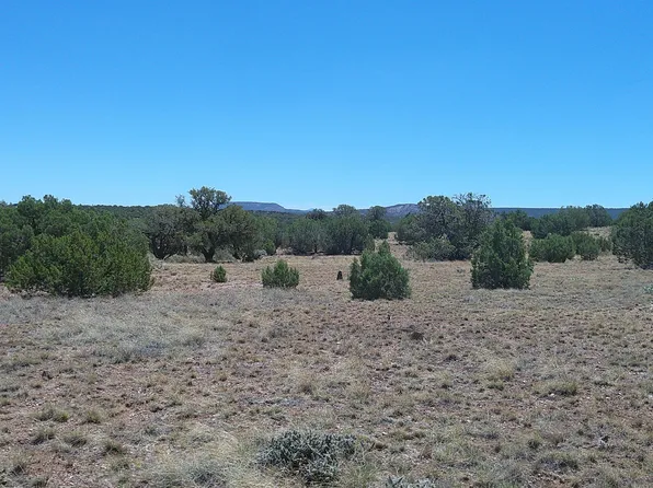 4247 S Pinto Rd, Snowflake, AZ 85937