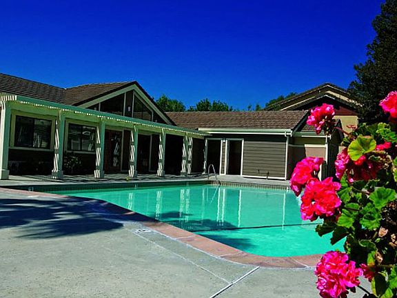 Sparking swimming pool