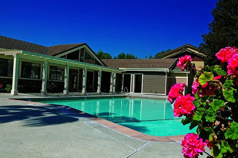Sparking swimming pool