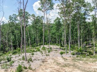 168 Ridgeline Ct, Ellijay, GA 30540