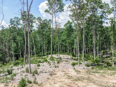 168 Ridgeline Ct, Ellijay, GA, 30540