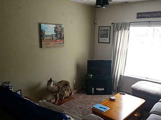 4th image of 3743 Magenta Ln