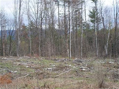 2nd image of 5 Giovanna Ln