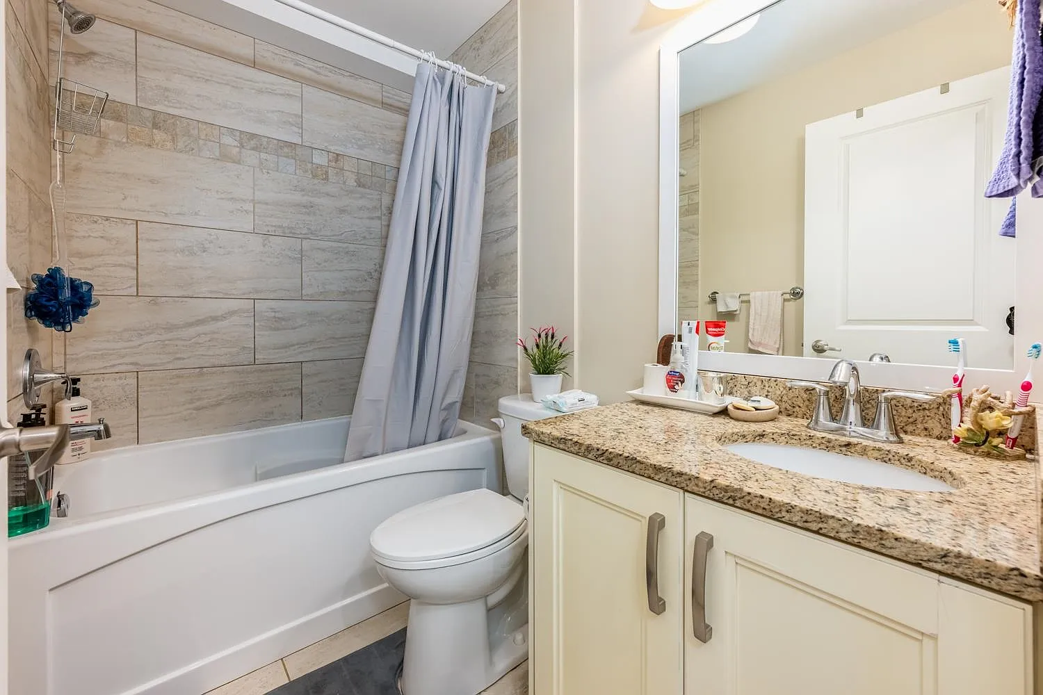 1 bed, 600 sqft, $1,600 — Photo 4