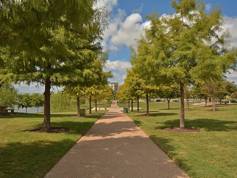Community Park View