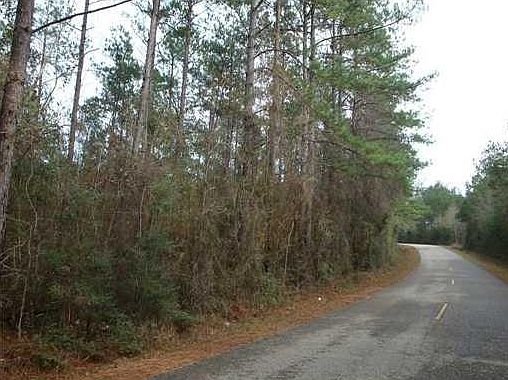 3rd image of Wilton Seal Road