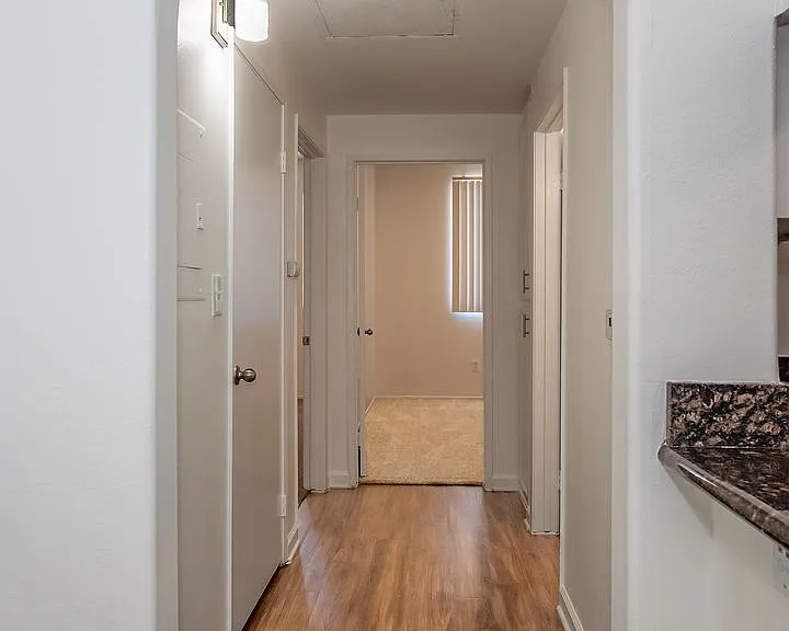 hol520 — Photo 27