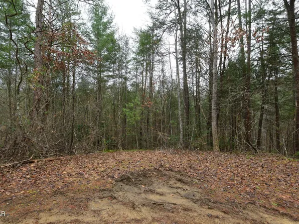 23 Alpine Ridge Way Lot 23, Sevierville, TN 37876