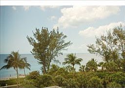 1st image of 4951 Gulf Shore Blvd N APT 204