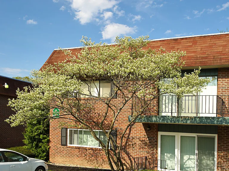 Sherwood Terrace Apartments — Photo 8