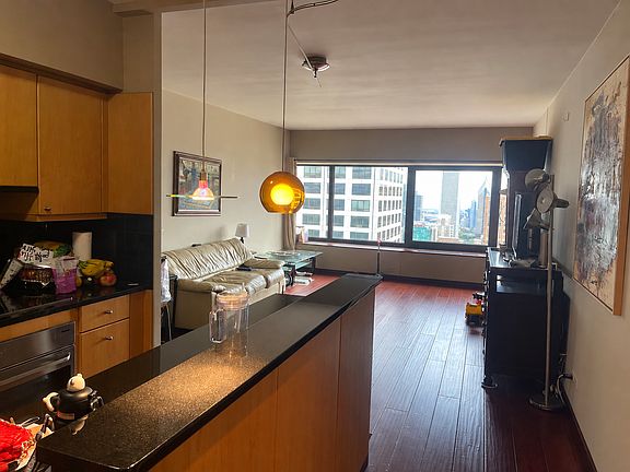 4th image of 175 E Delaware Pl APT 6115