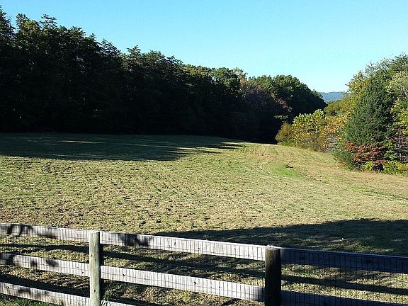 Front Pasture - Early Summer