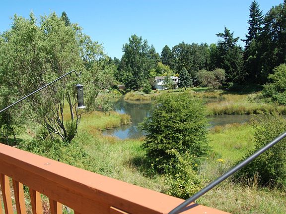 View Beaver Pond from Deck