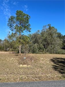 3188 N Barton Creek Cir, Lecanto, FL, 34461