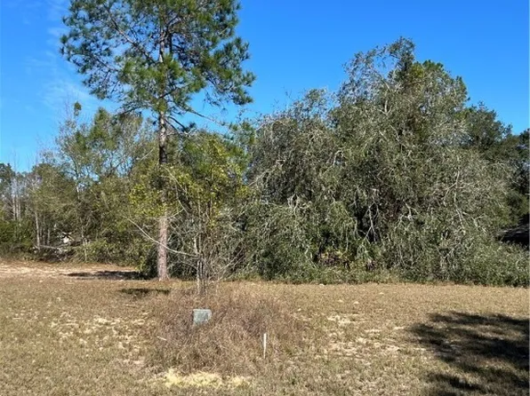 3188 N Barton Creek Cir, Lecanto, FL 34461