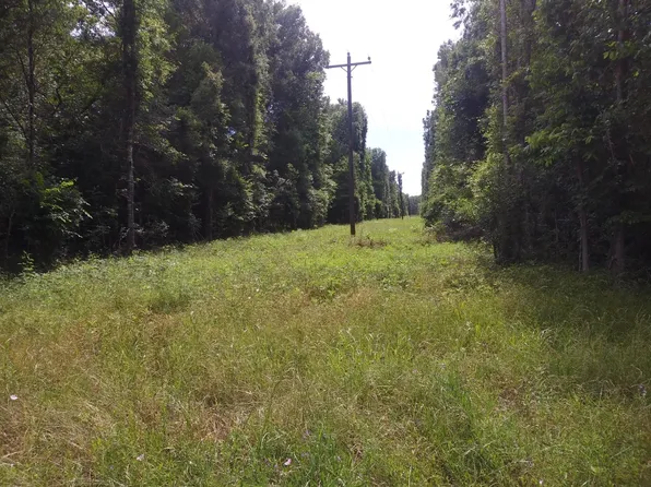 County Road 2853, Cleveland, TX 77327