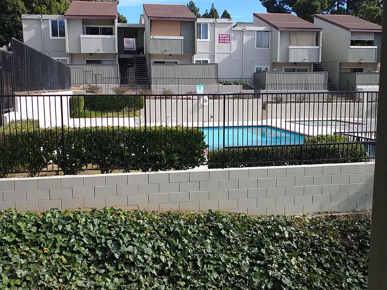 1333 N Camino Alto Rd #239 — Photo 8
