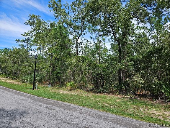 2nd image of 17 Speceberry Cir