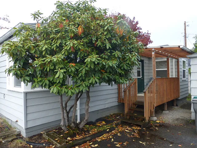 2 bed, 1.5 bath, 980 sqft, $2,200 — Photo 4