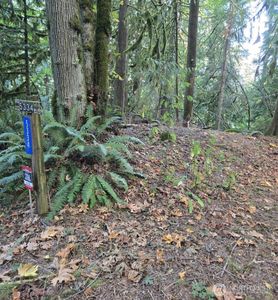 5320 279th Avenue NE, Redmond, WA, 98053