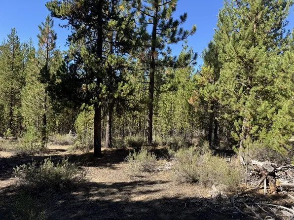 Crescent Moon Dr, Crescent, OR 97733