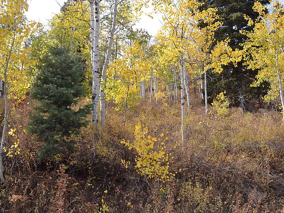 4th image of 613 W Forgotten Ln