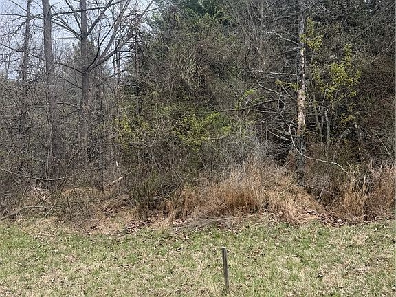 2nd image of TBD Lucky Hill