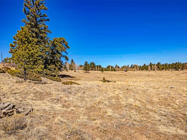 1250 Kaufman Rd, Hartsel, CO 80449