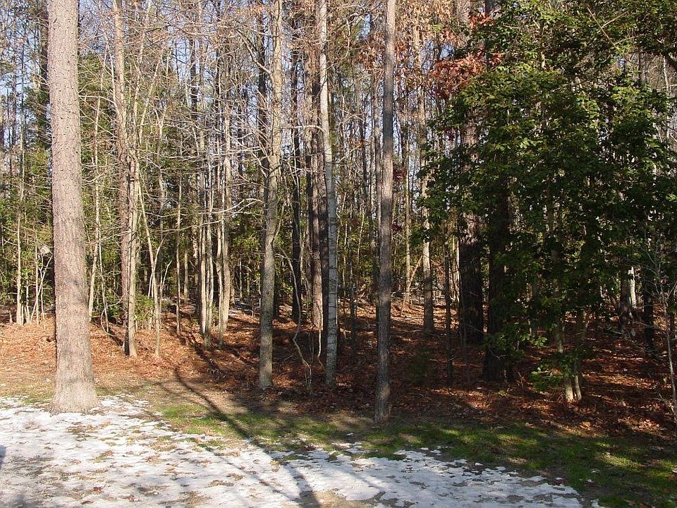 Rear Yard