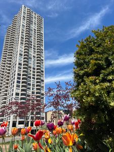 2020 N Lincoln Park W, Chicago, IL, 60614
