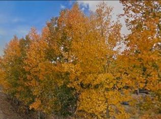 75 Antler Ridge Rd LOT 81, Jefferson, CO 80432