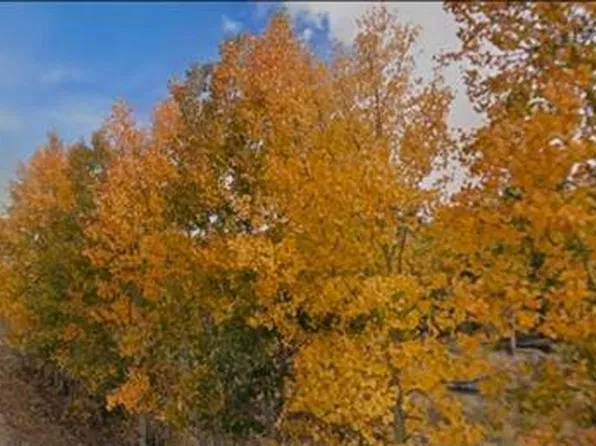 75 Antler Ridge Road LOT 81, Como, CO 80456