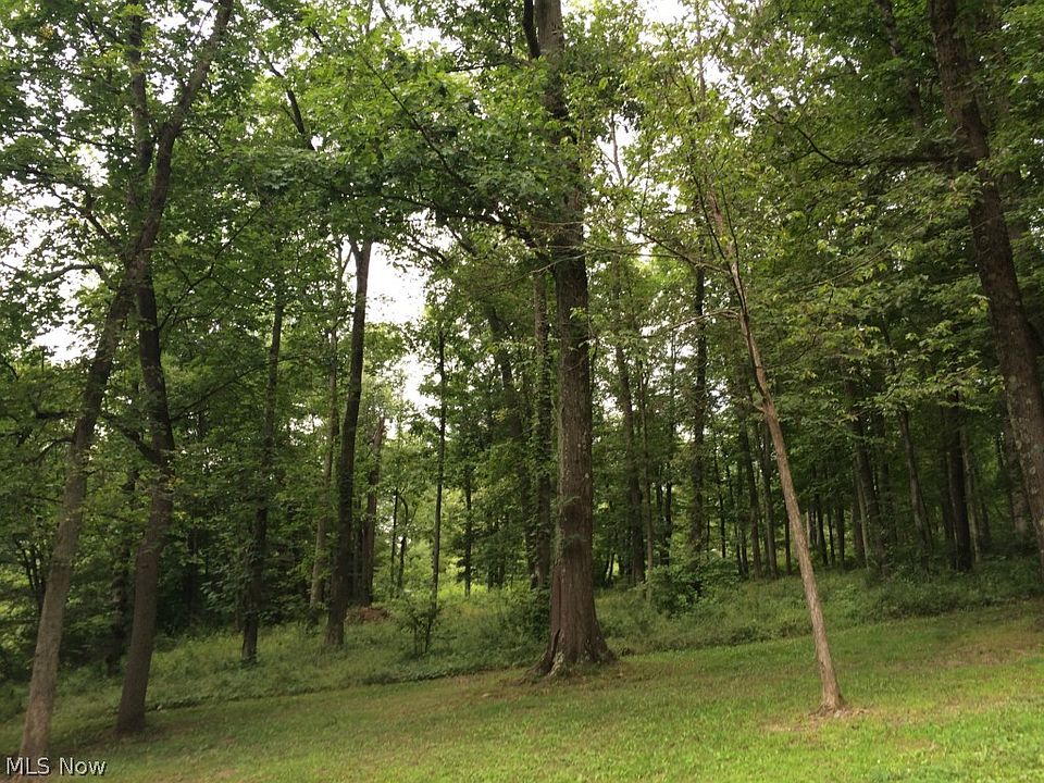 2nd image of Middle Run Rd NE