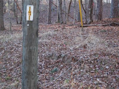 323 Pasha Dr, Ellijay, GA, 30540