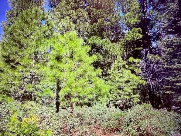 28 Fox Pine Dr, Westwood, CA 96137