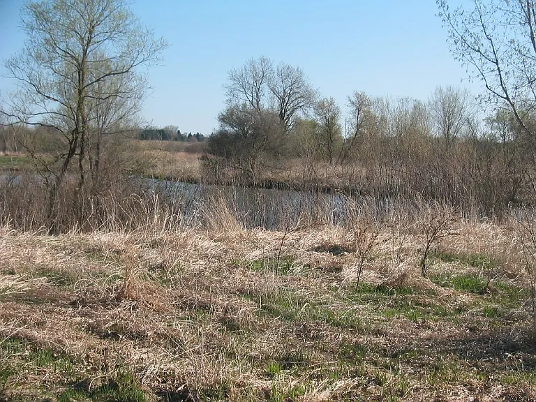 Windsor Pond Apartments — Photo 119