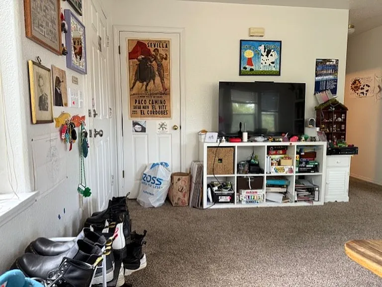 809 Blueberry Ln #811 — Photo 9