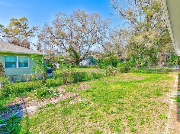 tampa-florida-82049662 picture