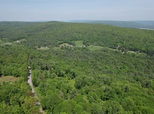 0 Cemetery Hill Road, Oneonta, NY 13820