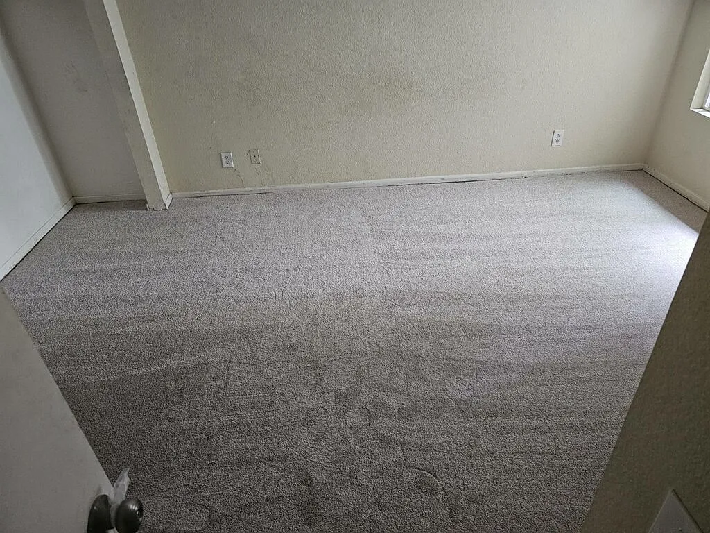1 bed, 782 sqft, $1,150 — Photo 1