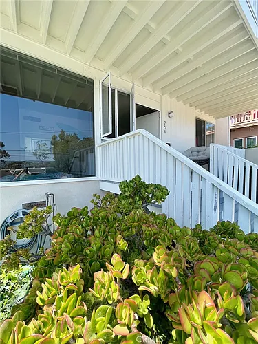 264 Dolphin Way Photo 1