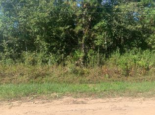 4991 Sable Ave, Middleburg, FL 32068