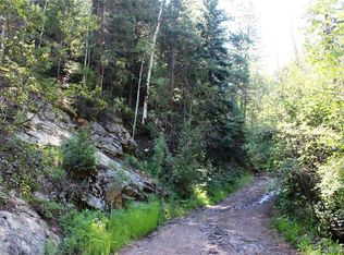 0 Old Little Bear Creek Rd #15852, Idaho Springs, CO 80452